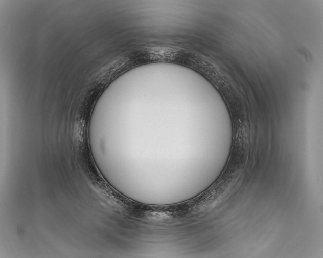 X0000110900649200907021538