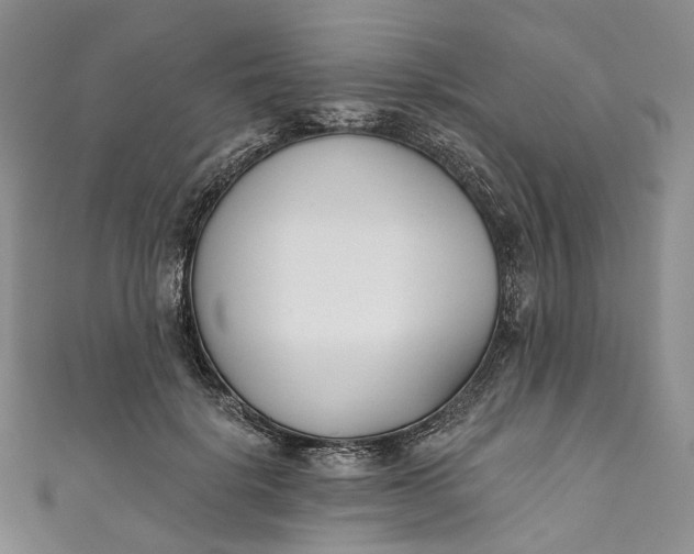 X0000110900652200907021538