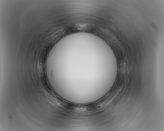 X0000110900653200907021538