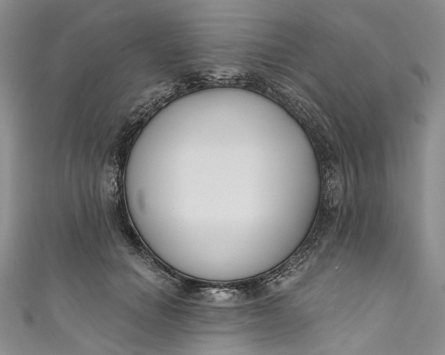X0000110900654200907021538