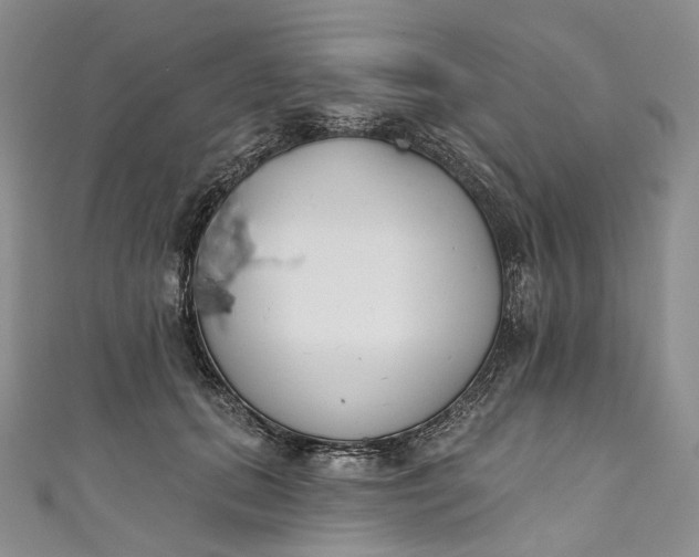 X0000110900655200907021538