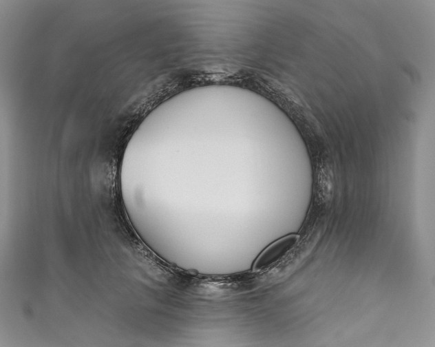 X0000110900657200907021538