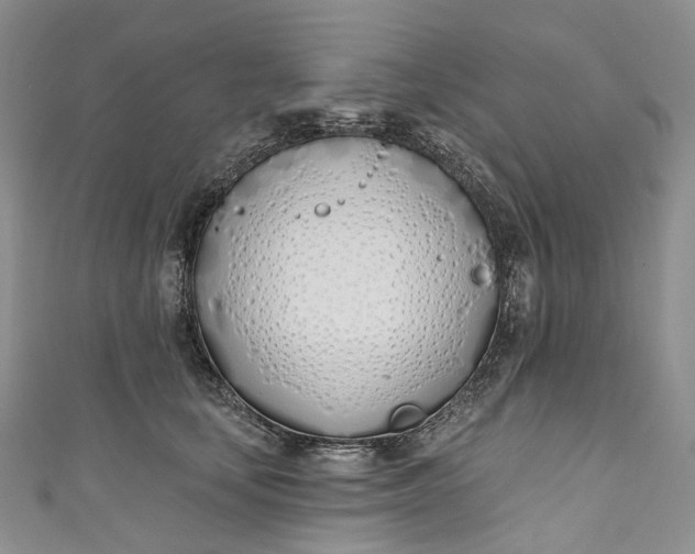 X0000110900659200907021538