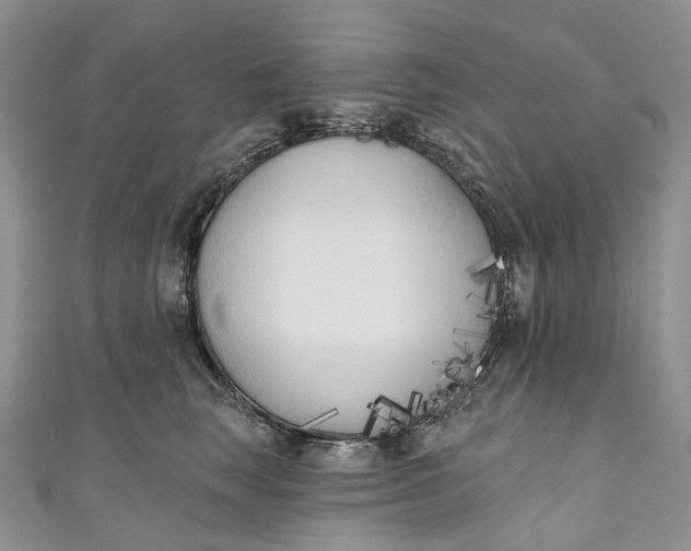 X0000110900663200907021538