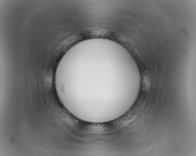 X0000110900668200907021539
