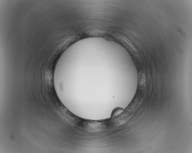 X0000110900669200907021539