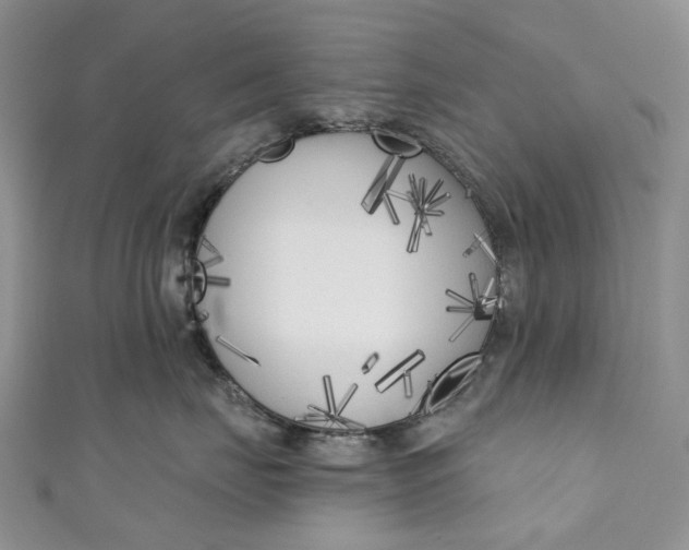 X0000110900671200907021539