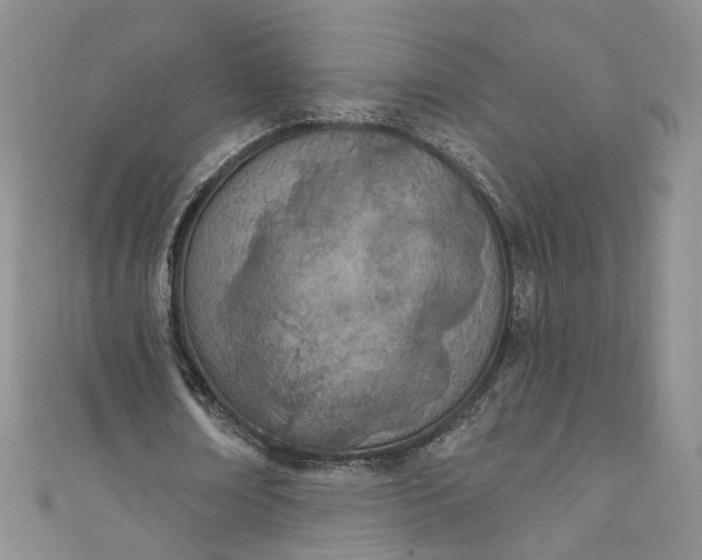 X0000110900674200907021538