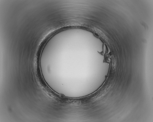 X0000110900676200907021538