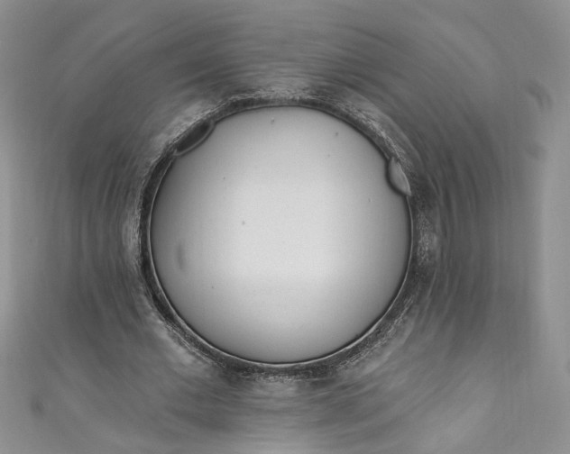 X0000110900677200907021538