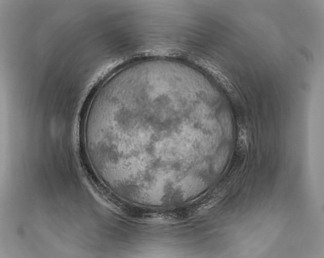 X0000110900678200907021538