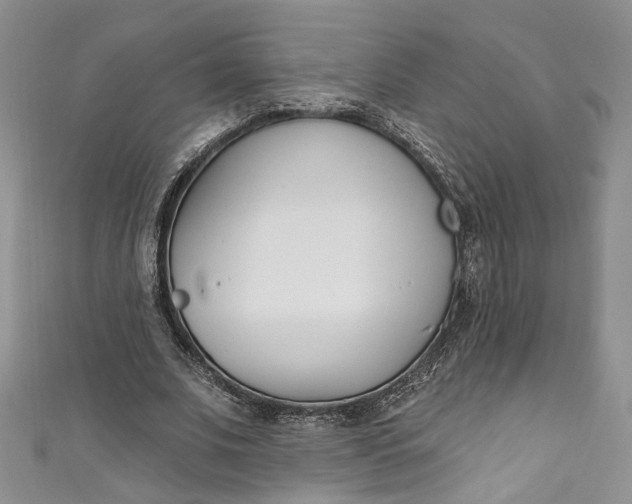 X0000110900679200907021538