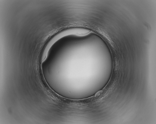 X0000110900681200907021538