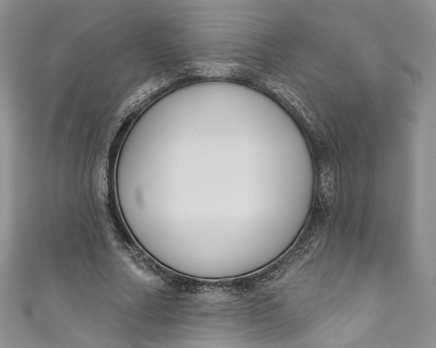 X0000110900682200907021538