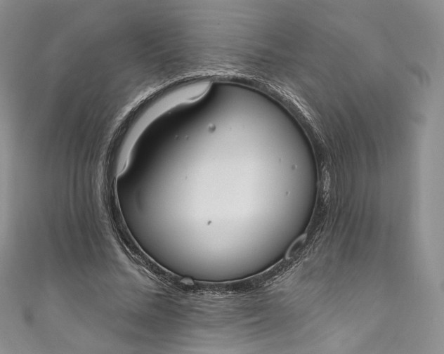 X0000110900684200907021538