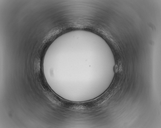X0000110900685200907021538