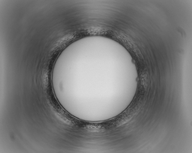 X0000110900690200907021538
