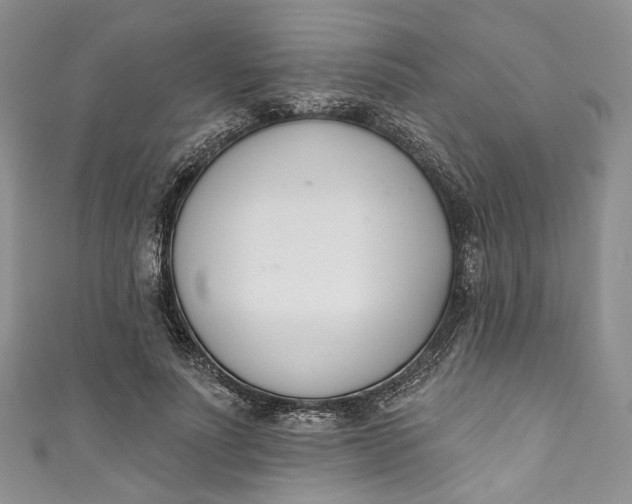 X0000110900691200907021538