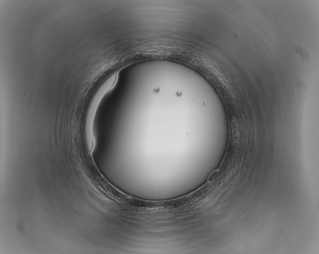 X0000110900692200907021538