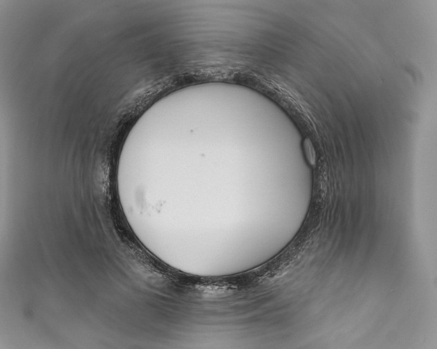 X0000110900693200907021538