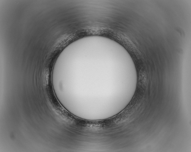 X0000110900694200907021538