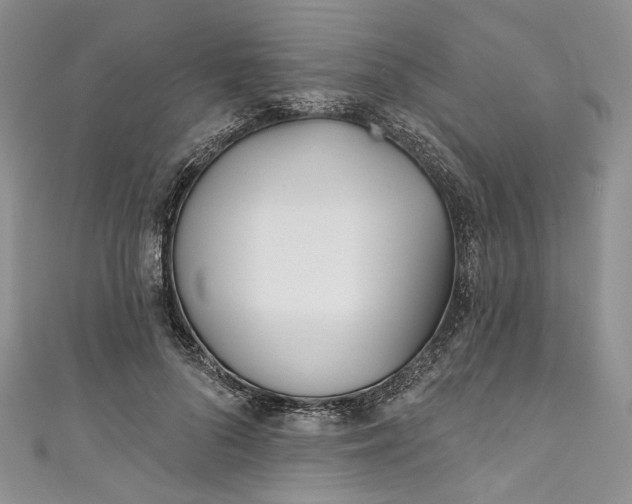 X0000110900696200907021538