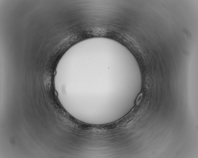 X0000110900697200907021538