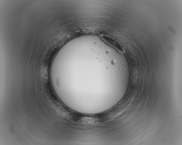 X0000110900699200907021538