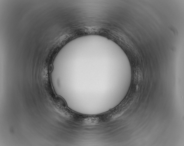 X0000110900700200907021538
