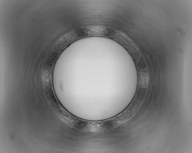X0000110900701200907021538