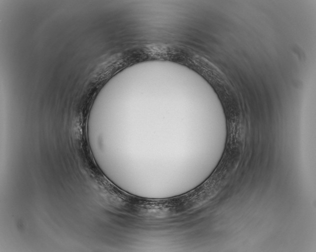 X0000110900702200907021538