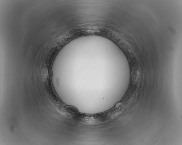 X0000110900704200907021538