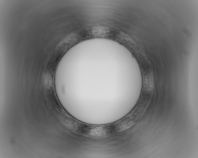 X0000110900705200907021538