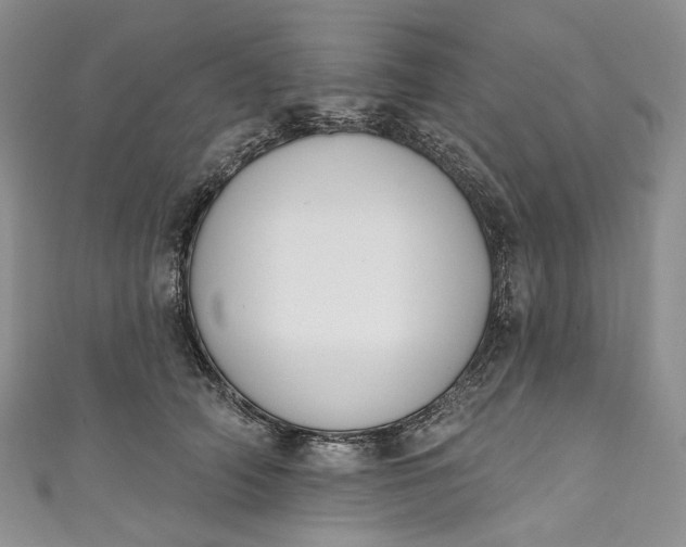 X0000110900706200907021538