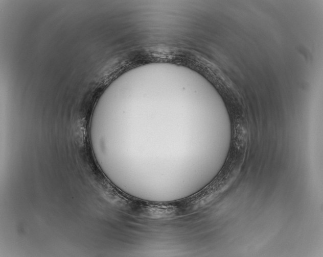 X0000110900707200907021538