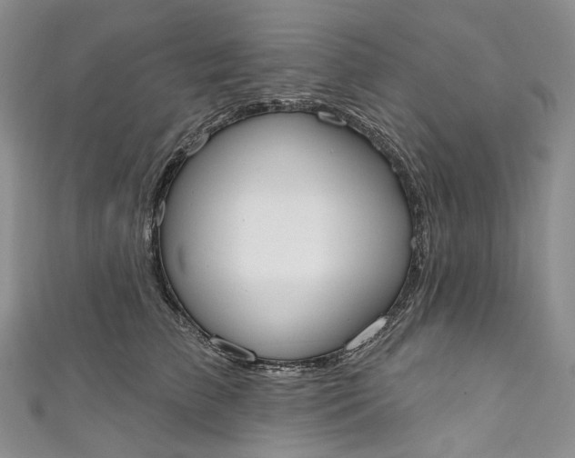 X0000110900709200907021538