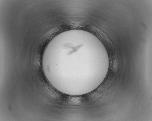 X0000110900710200907021537