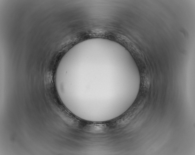 X0000110900711200907021537