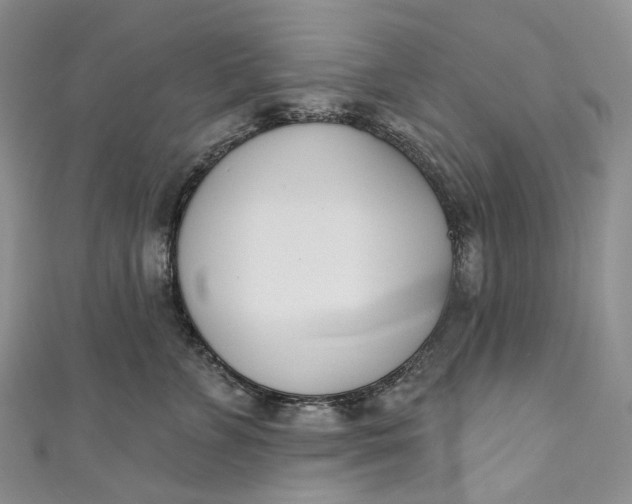 X0000110900715200907021537