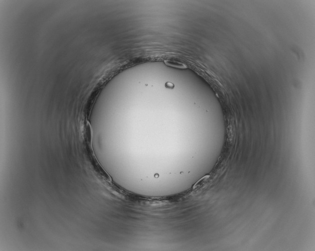 X0000110900716200907021537