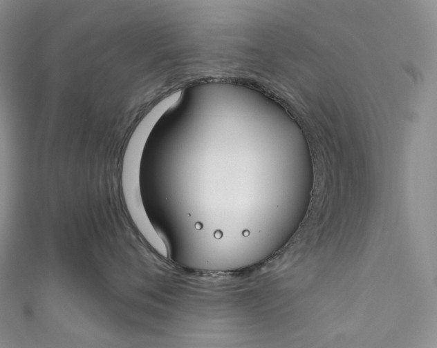 X0000110900720200907021537