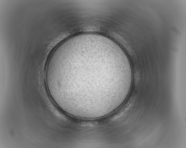 X0000110900721200907021537
