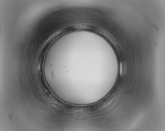 X0000110900723200907021537