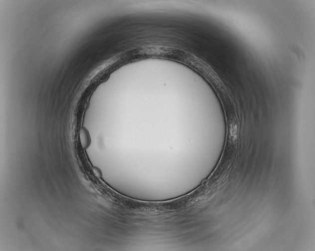 X0000110900724200907021537