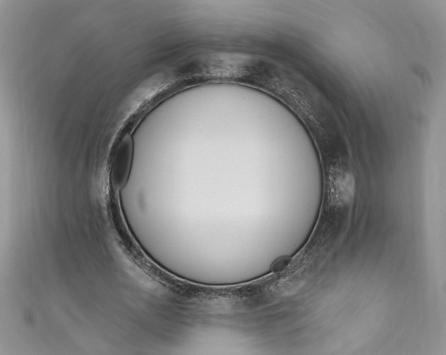X0000110900726200907021537