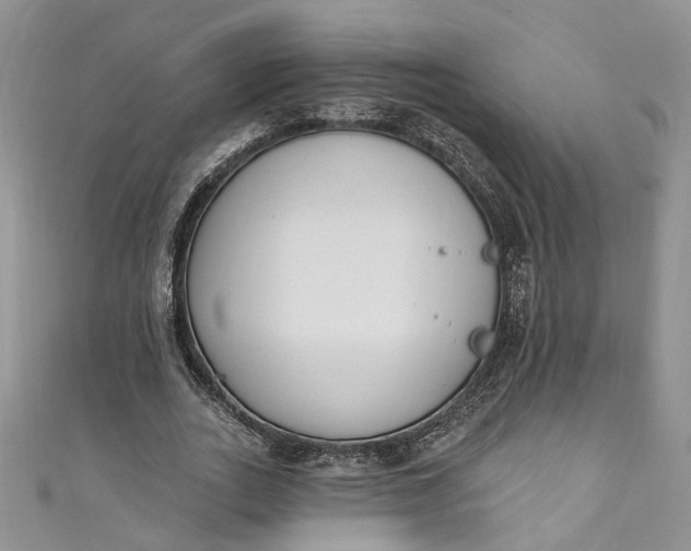 X0000110900727200907021537