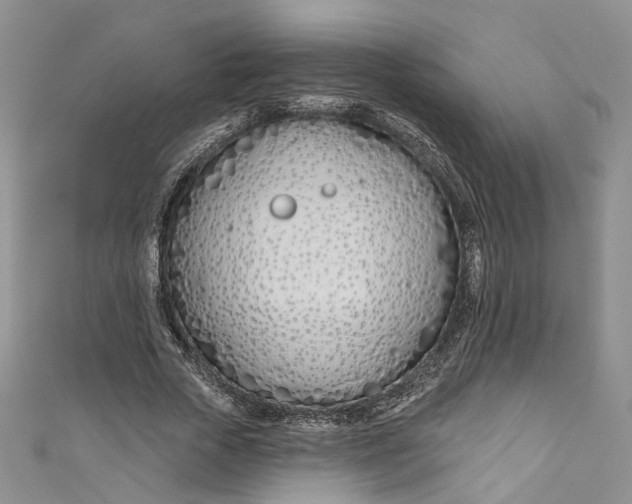 X0000110900729200907021537