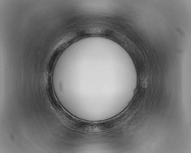 X0000110900735200907021537