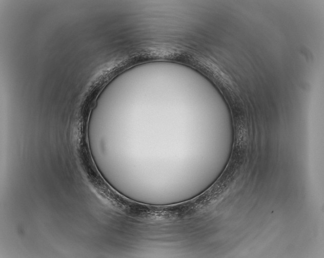 X0000110900736200907021537