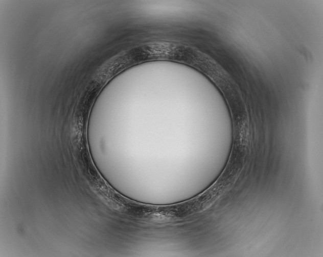 X0000110900737200907021537
